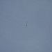 loau_180