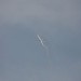 loau_181