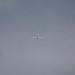 loau_183