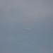 loau_184