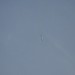 loau_185