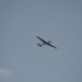 loau_187