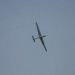 loau_188