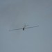 loau_190