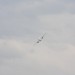 lowf_055