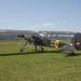 loxn_029