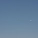 loxn_137