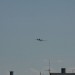 loxn_162