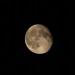 mini-final-moon-color