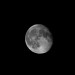 mini-final-moon