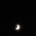 mini-IMG_2319
