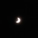 mini-IMG_2320