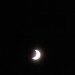 mini-IMG_2321