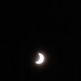 mini-IMG_2322