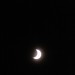 mini-IMG_2323