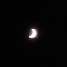 mini-IMG_2324