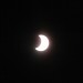 mini-IMG_2329