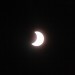mini-IMG_2331
