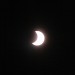mini-IMG_2332