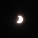 mini-IMG_2333