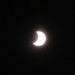 mini-IMG_2334