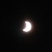 mini-IMG_2336