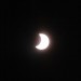 mini-IMG_2337
