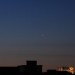 mini-IMG_5382