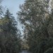 mini-Weg