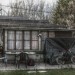 mini-garten02