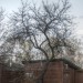 mini-garten05