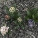 mini-garten09
