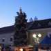 traiskirchen_33