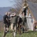 aggstein10_03