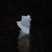 aggstein10_11