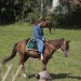asparn10_002