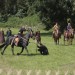 asparn10_005