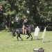 asparn10_010