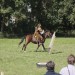 asparn10_013