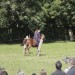 asparn10_017