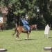 asparn10_019