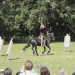asparn10_021