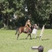 asparn10_024