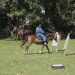 asparn10_029