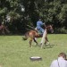 asparn10_030