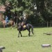 asparn10_031
