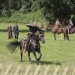 asparn10_036