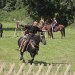 asparn10_037