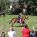 asparn10_046