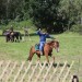 asparn10_049